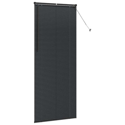 vidaXL Balkenjalousien Schwarz 220 x 95 cm Aluminium