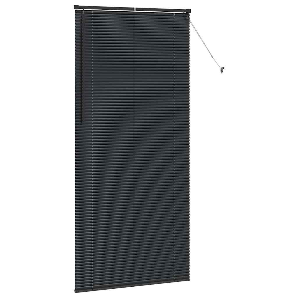 vidaXL Balkenjalousien Schwarz 220 x 100 cm Aluminium