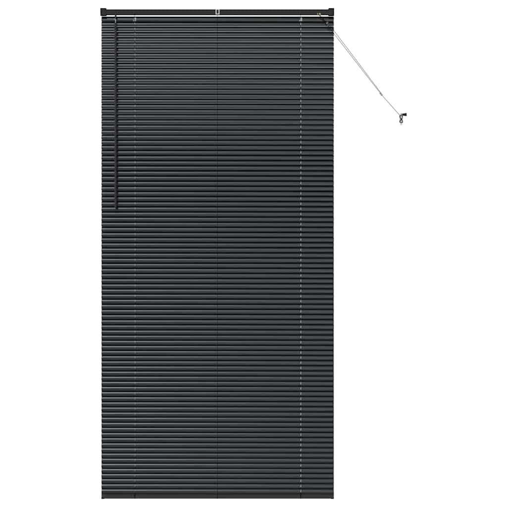 vidaXL Balkenjalousien Schwarz 220 x 100 cm Aluminium