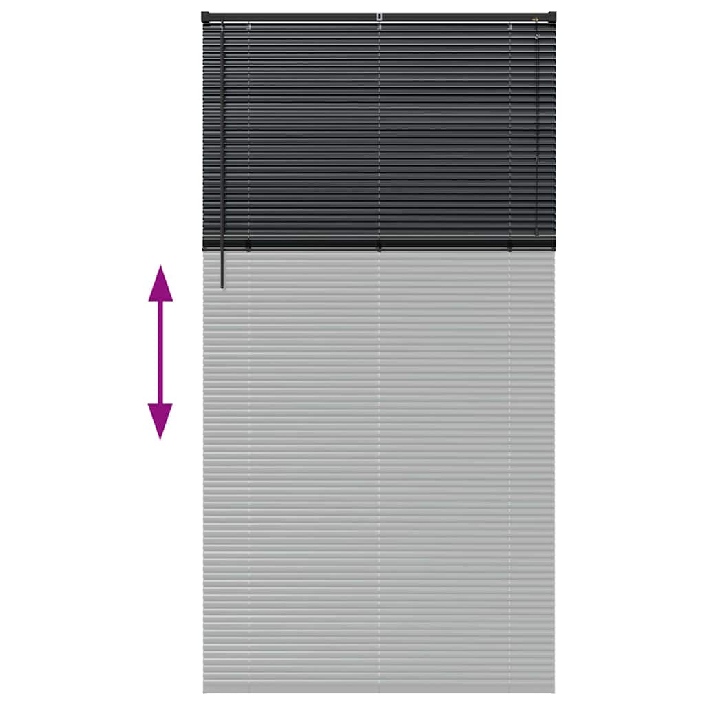vidaXL Balkenjalousien Schwarz 220 x 120 cm Aluminium