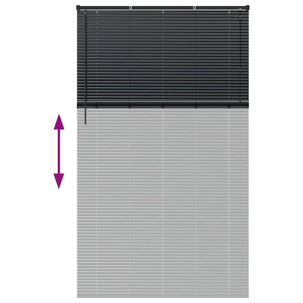 vidaXL Balkenjalousien Schwarz 220 x 135 cm Aluminium