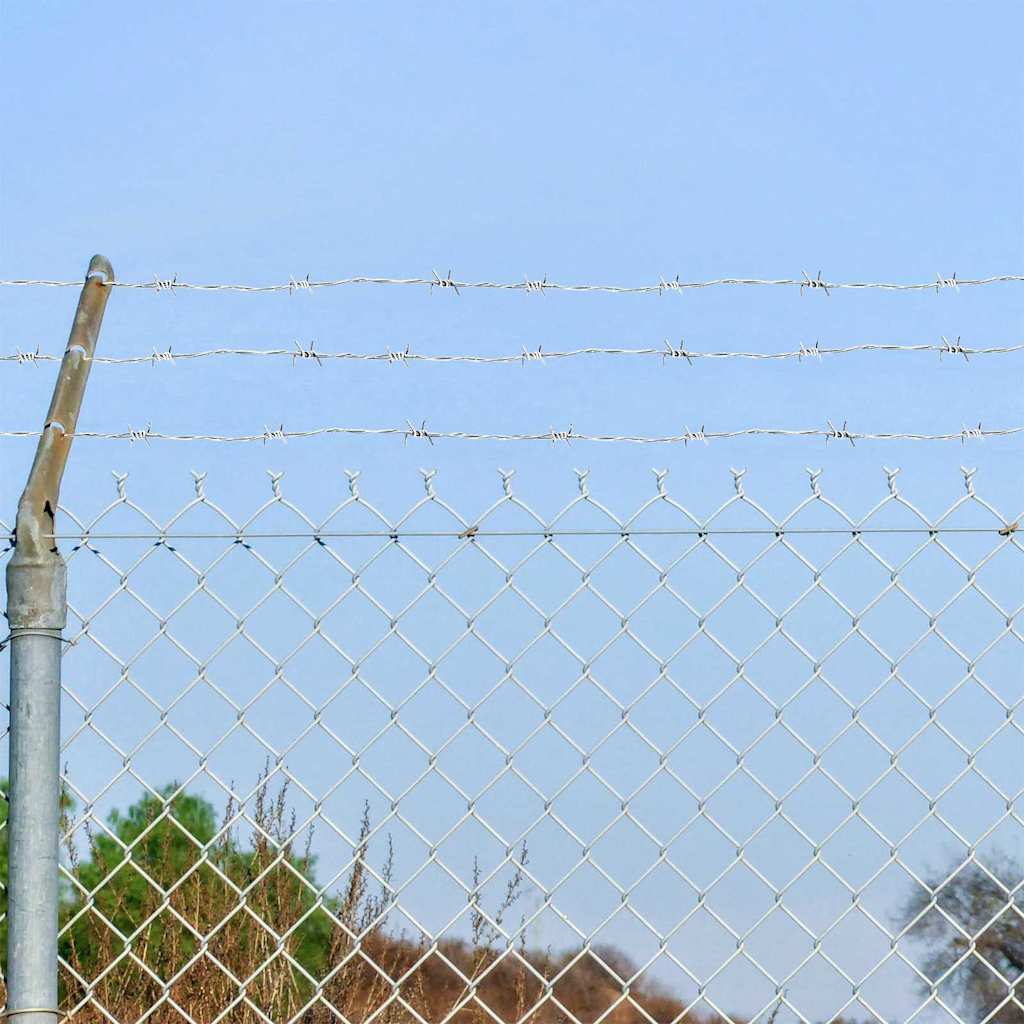 Stacheldraht Silber 50 m Feuerverzinkt Stahl
