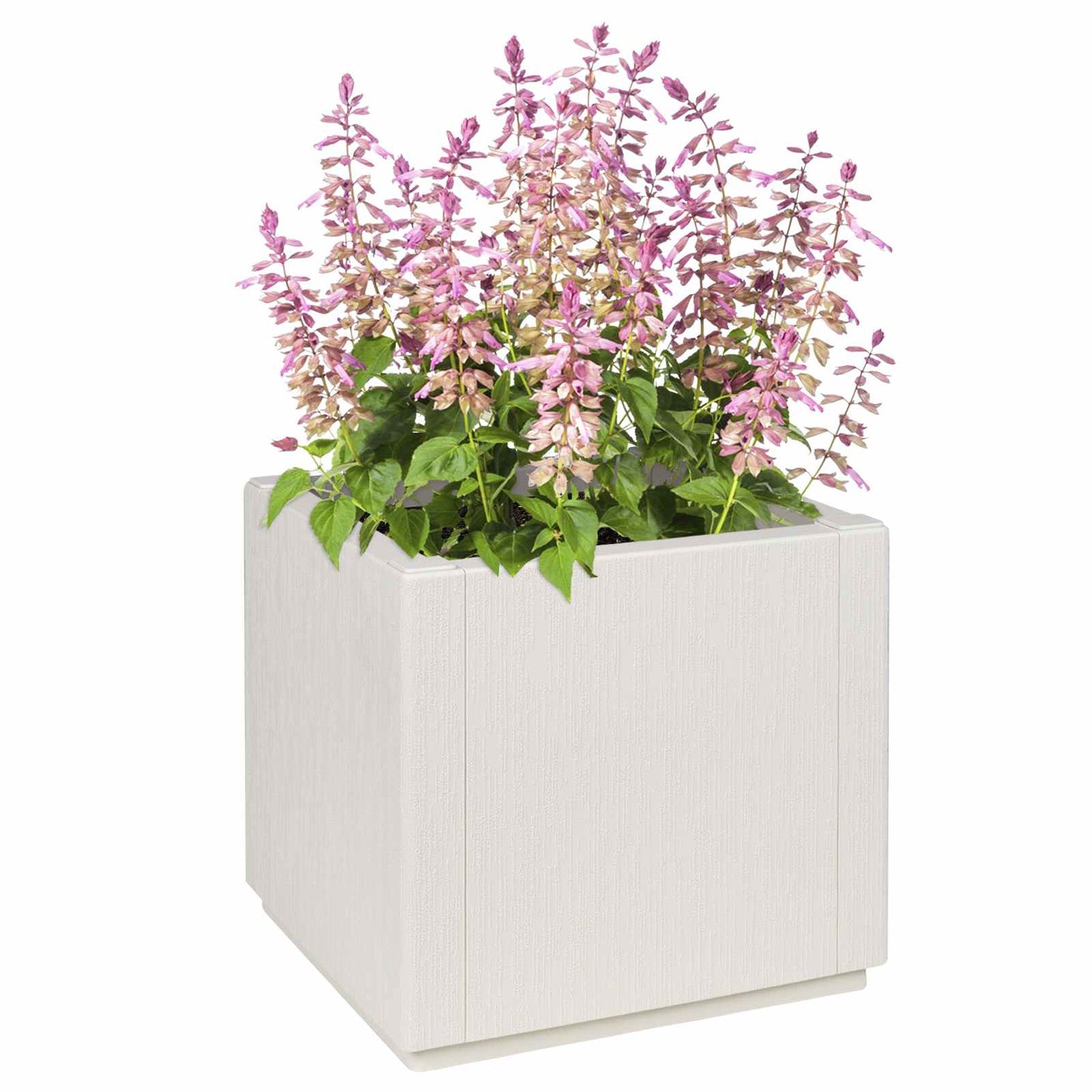 vidaXL Blumenkiste Weiß 36 x 36 x 35 cm Kunststoff