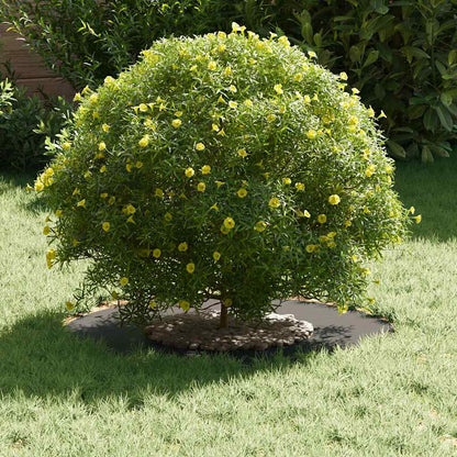 geeignet für flachen Baumring Schwarz Ø30 / 60 cm Stahl