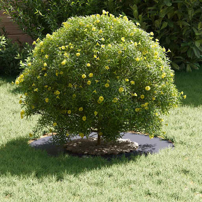 vidaXL geeignet für flachen Baumring Anthrazit Ø30 / 60 cm Stahl