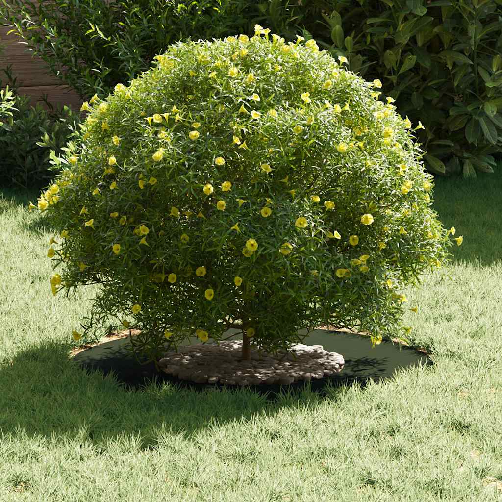 geeignet für flache Baumringe 5 pcs Olivgrün Ø30 / 60 cm Stahl