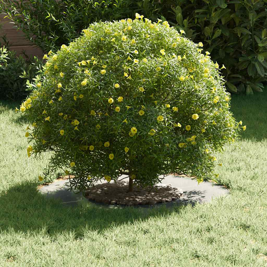 geeignet für flachen Baumring Silber Ø30 / 60 cm Verzinkter Stahl