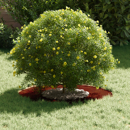 geeignet für flache Baumringe 5 pcs Braun Ø30 / 60 cm