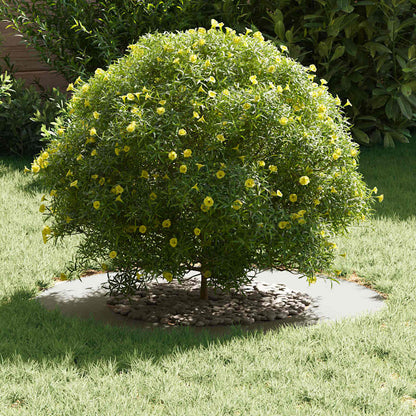 vidaXL geeignet für flachen Baumring Weiß Ø40 / 70 cm Stahl
