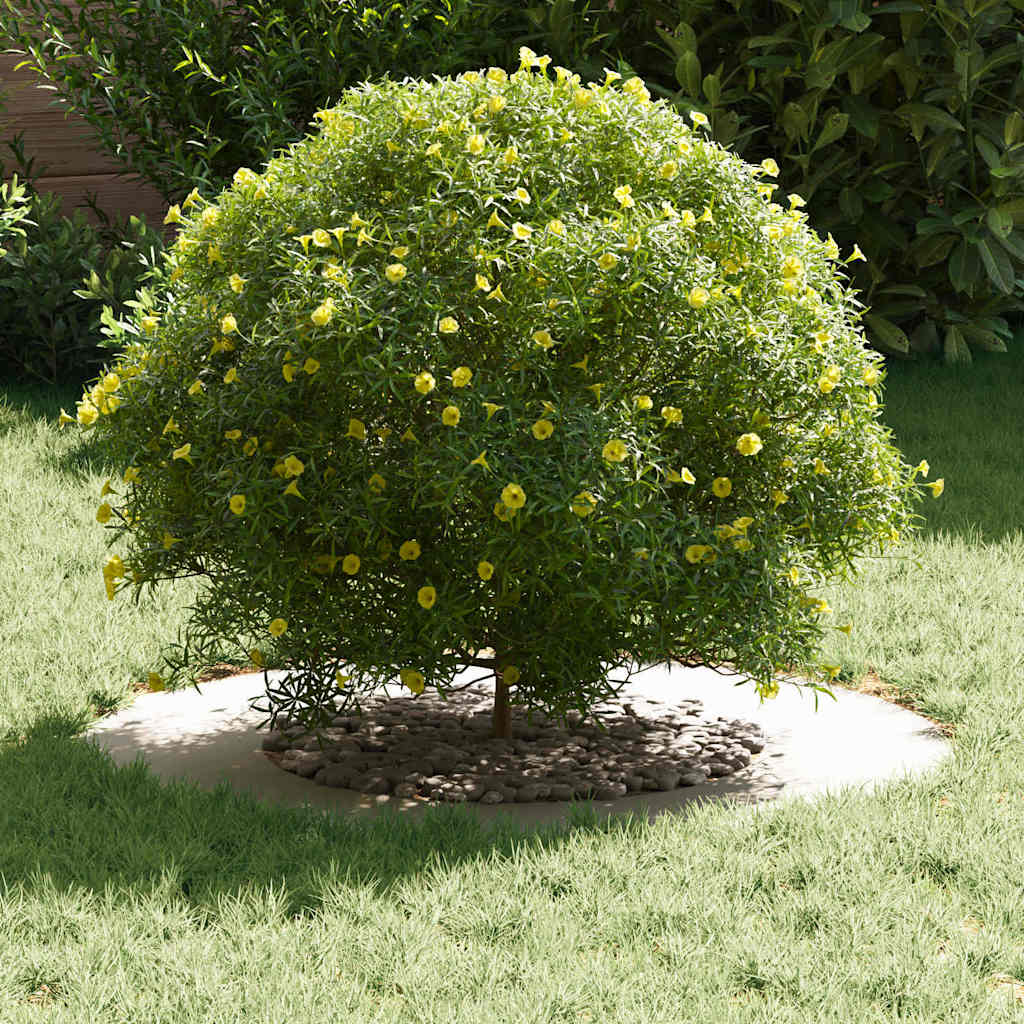 vidaXL geeignet für flache Baumringe 5 pcs Weiß Ø40 / 70 cm Stahl