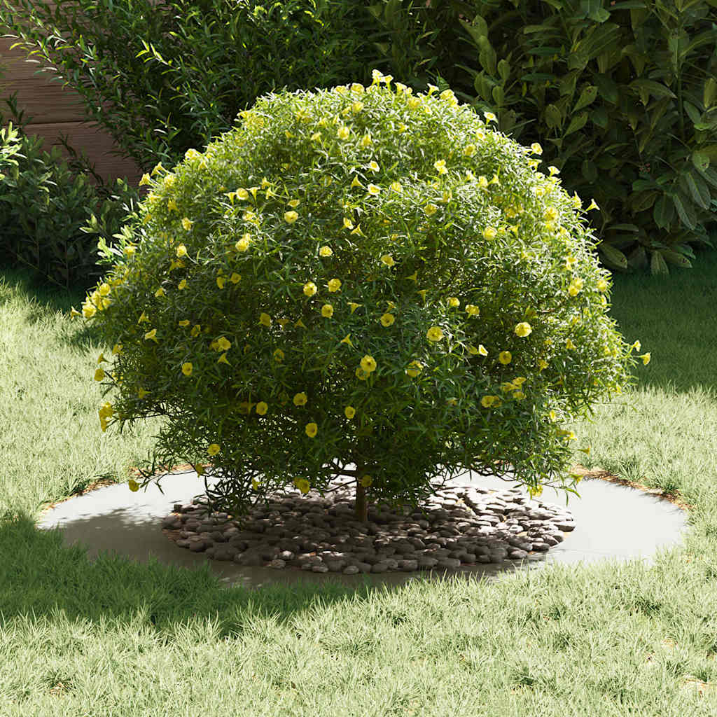 vidaXL geeignet für flachen Baumring Weiß Ø50 / 80 cm Stahl