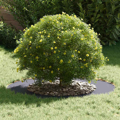 vidaXL geeignet für flache Baumringe 5 pcs Anthrazit Ø50 / 80 cm Stahl