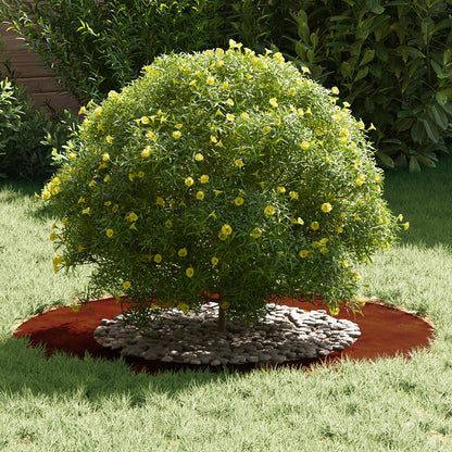 geeignet für flache Baumringe 5 pcs Braun Ø50 / 80 cm