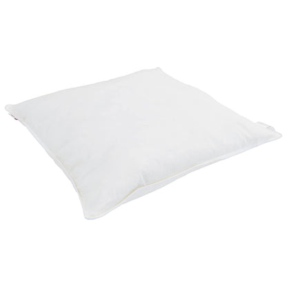 vidaXL Couette d'hiver avec oreiller 2 pcs Blanc Plumes et duvet