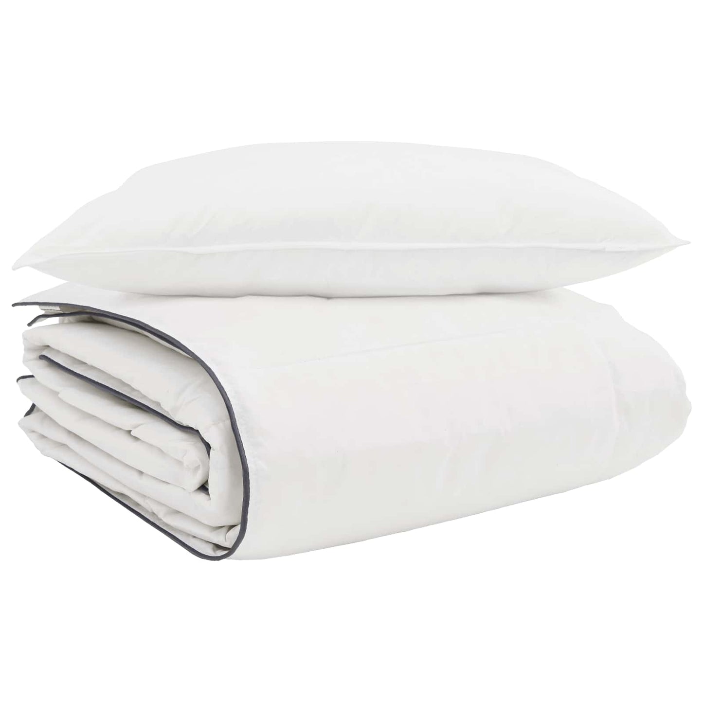 vidaXL Couette d'hiver avec oreiller 2 pcs Blanc Plumes
