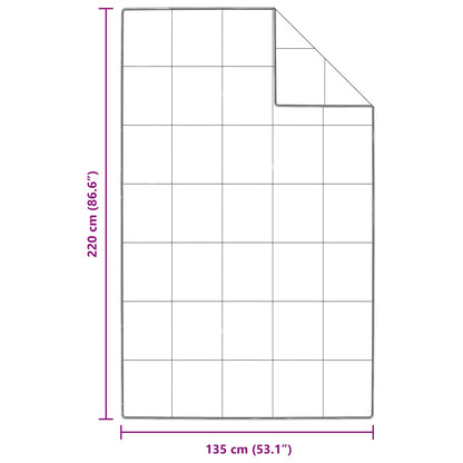 Winterbettdecke mit Kissen 2 pcs Weiß Daunenfeder