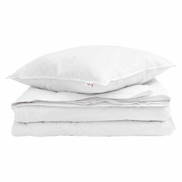 vidaXL Couette 2 en 1 avec oreiller 2 pcs Blanc Plumes