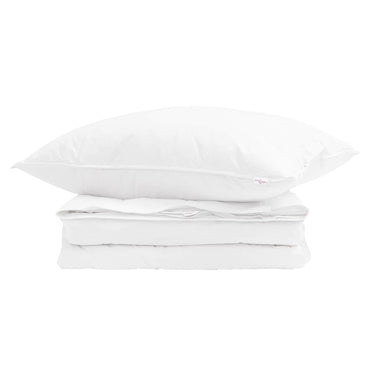 vidaXL Couette 2 en 1 avec oreiller 2 pcs Blanc Plumes et duvet