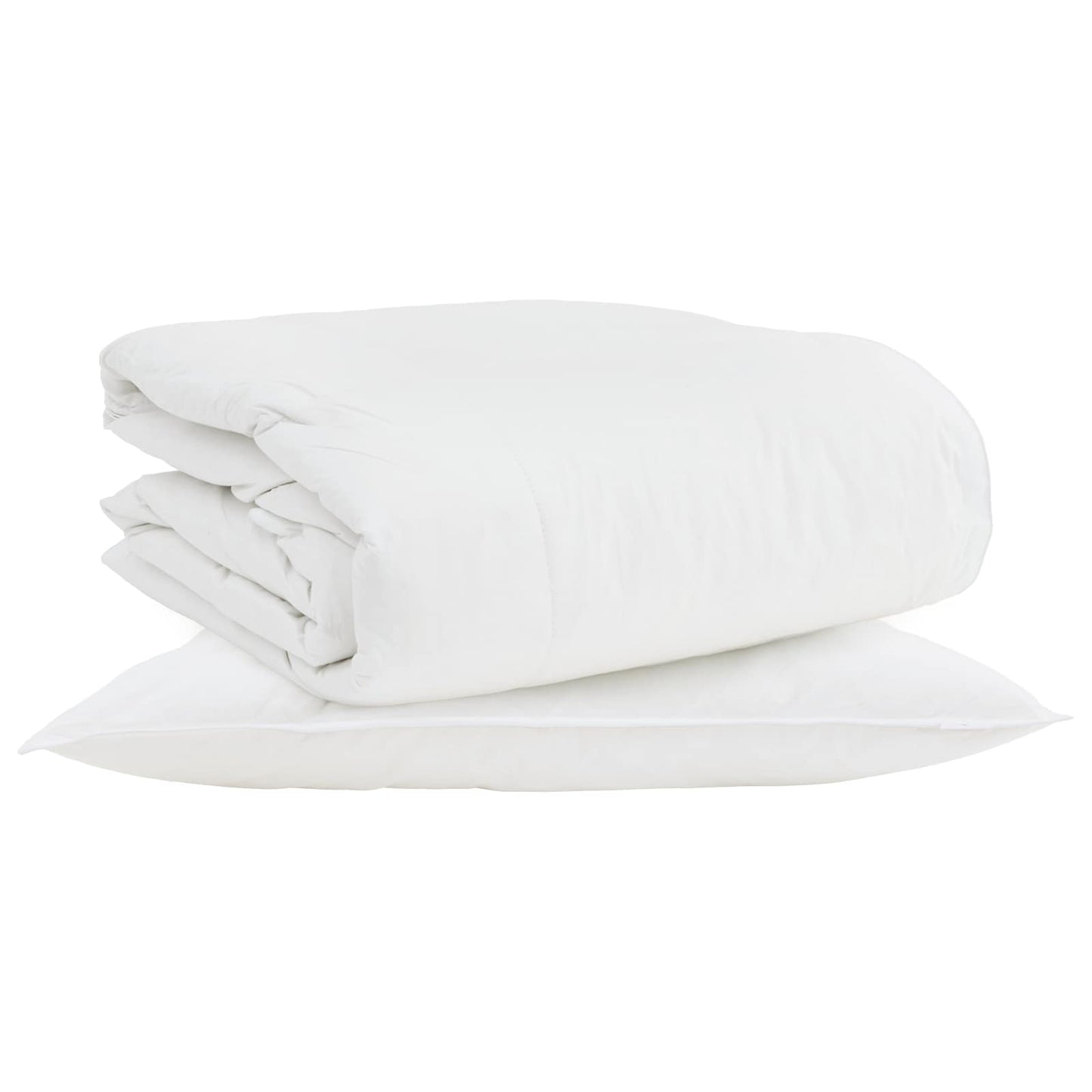 vidaXL Couette 2 en 1 avec oreiller 2 pcs Blanc Plumes et duvet