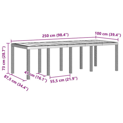 vidaXL Gartentisch Hellgrau 250 x 100 x 73 cm Poly-Rattan