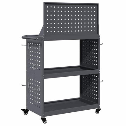 Werkzeugwagen Anthrazit 65 x 35 x 111 cm Kaltgewalzter Stahl