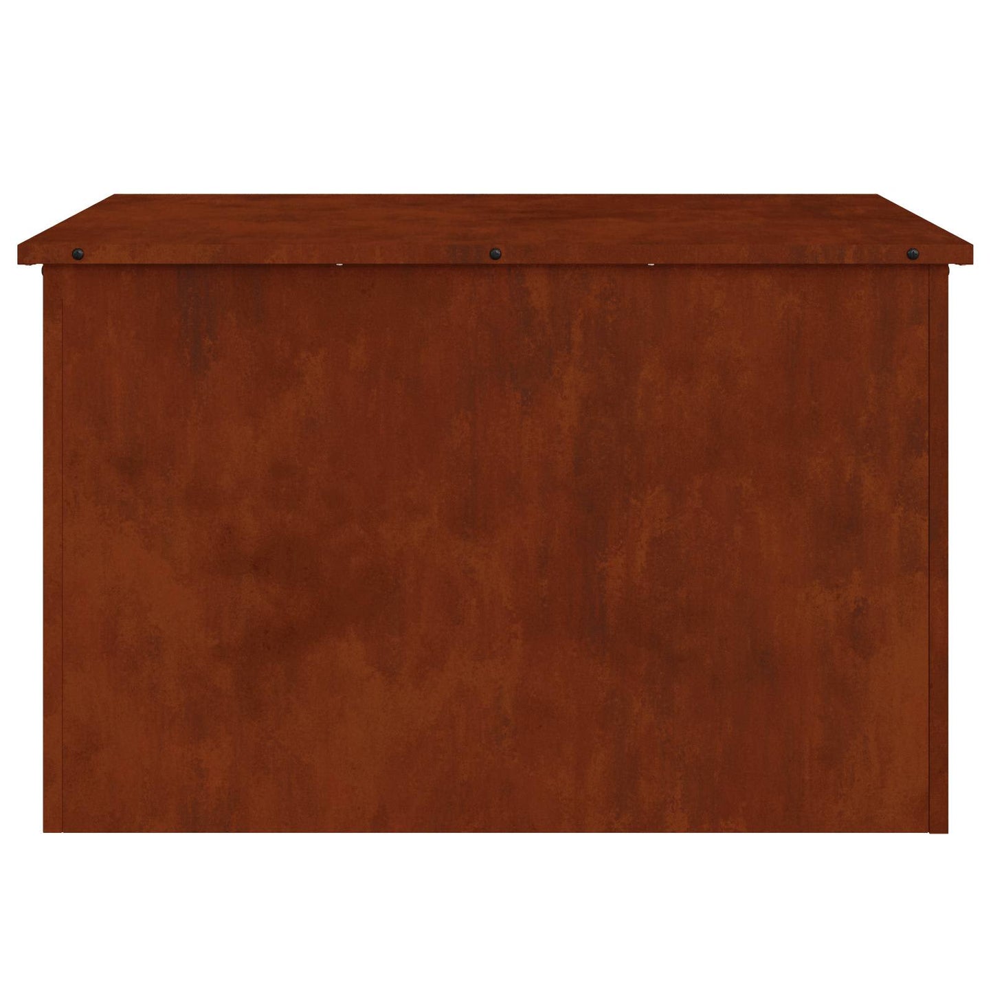 Außenlagerbox Rostig 80 x 50,5 x 50 cm Stahl