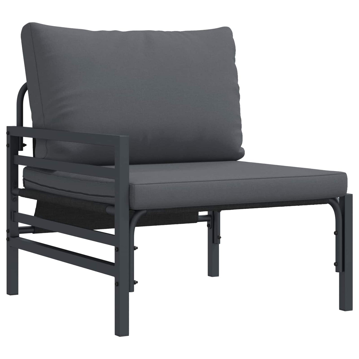 vidaXL Salon de jardin avec coussins 6 pcs Acier Noir