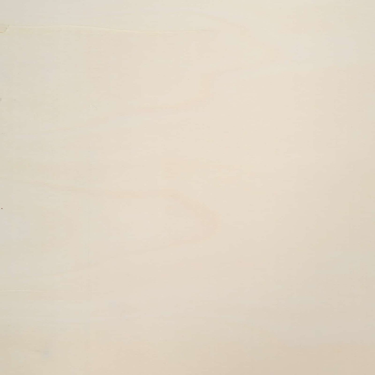 Wanddisplay-Case mit Regal Beige 21 x 4,5 x 59 cm Holzwerkstoff