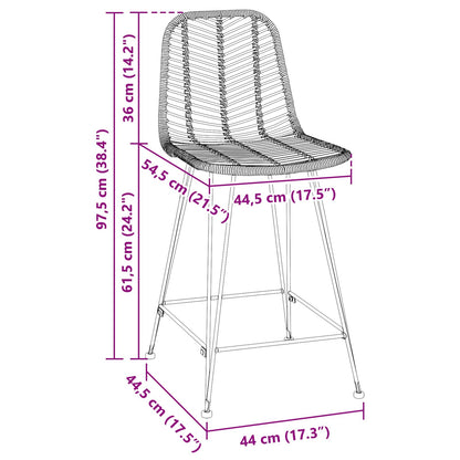Barstuhl 2 pcs Schwarz 44,5 x 54,5 x 97,5 cm Rattan und Eisen