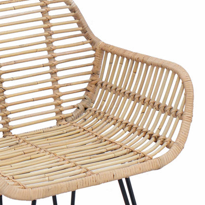 vidaXL Esszimmerstuhl 2 pcs Natur 55 x 50 x 74 cm Rattan und Eisen