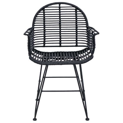 vidaXL Esszimmerstuhl 2 pcs Schwarz 44 x 44 x 74 cm Rattan und Eisen
