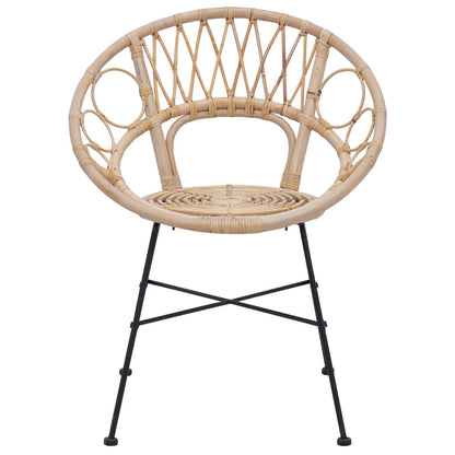 vidaXL Esszimmerstuhl 2 pcs Natur 49 x 51 x 81 cm Rattan und Eisen