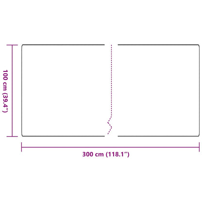 vidaXL Teppichläufer Anthrazit 100 x 300 cm 100% Polypropylen