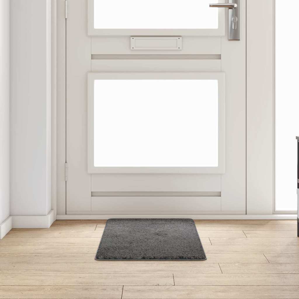 vidaXL Teppichläufer Grau 50 x 100 cm 100% Polypropylen Tuft