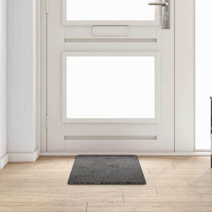 vidaXL Teppichläufer Grau 50 x 100 cm 100% Polypropylen Tuft
