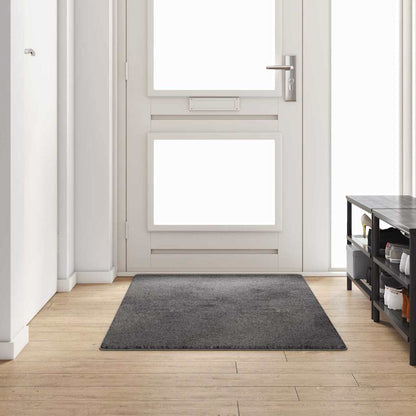 vidaXL Teppichläufer Grau 100 x 200 cm 100% Polypropylen Tuft
