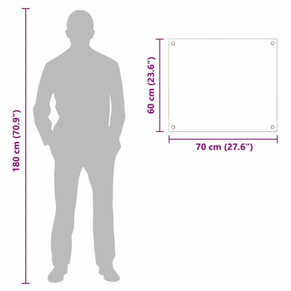 Küchenrückwand Transparent 70 x 60 cm Gehärtetes Glas