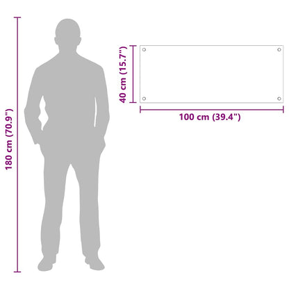 Küchenrückwand Schwarz 100 x 40 cm Gehärtetes Glas