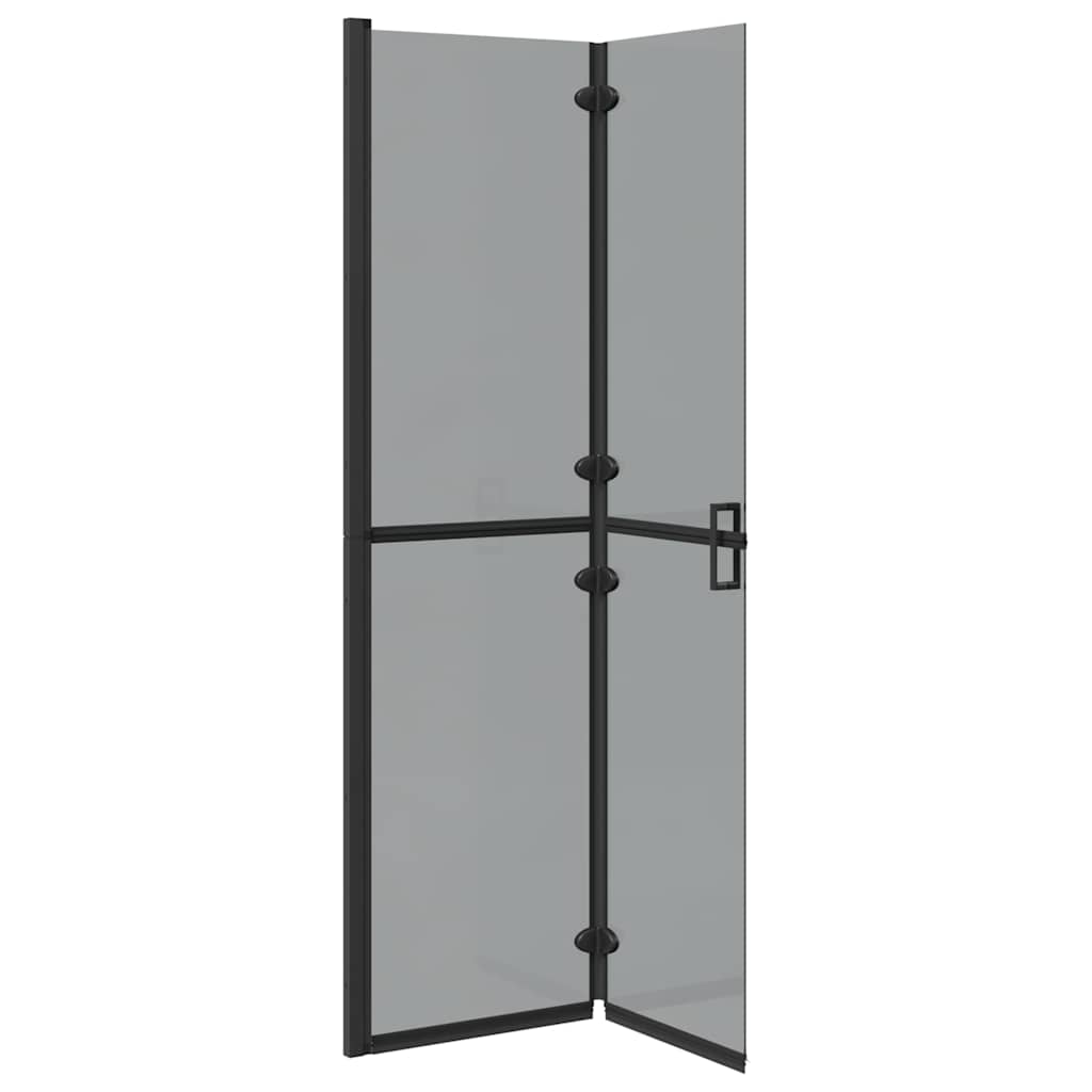 Walk-In Duschwand Schwarz 100 x 6,5 x 190 cm