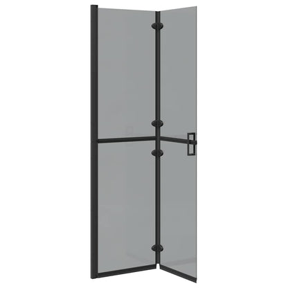 Walk-In Duschwand Schwarz 100 x 6,5 x 190 cm