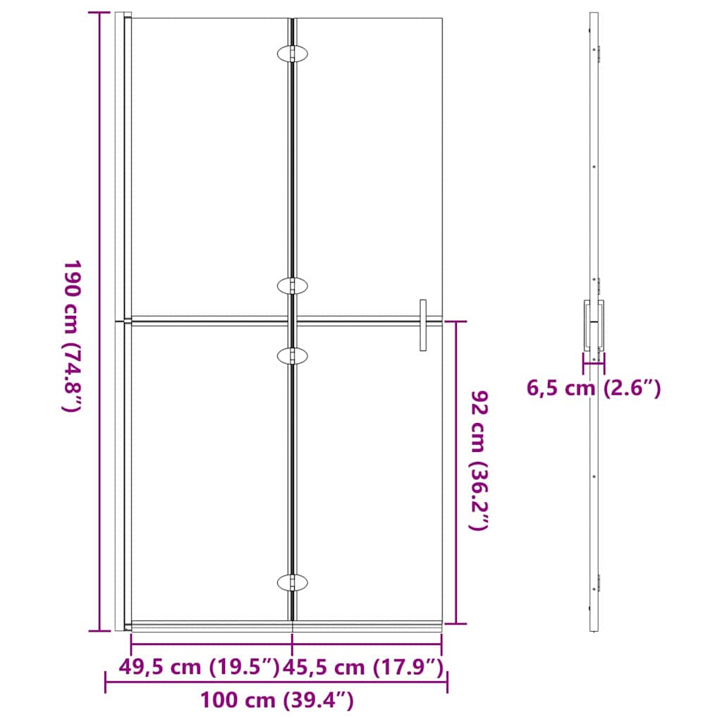 Walk-In Duschwand Schwarz 100 x 6,5 x 190 cm