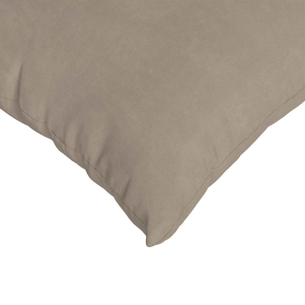 vidaXL Coussins de canapé 2 pcs Taupe 60 x 40 cm Tissu