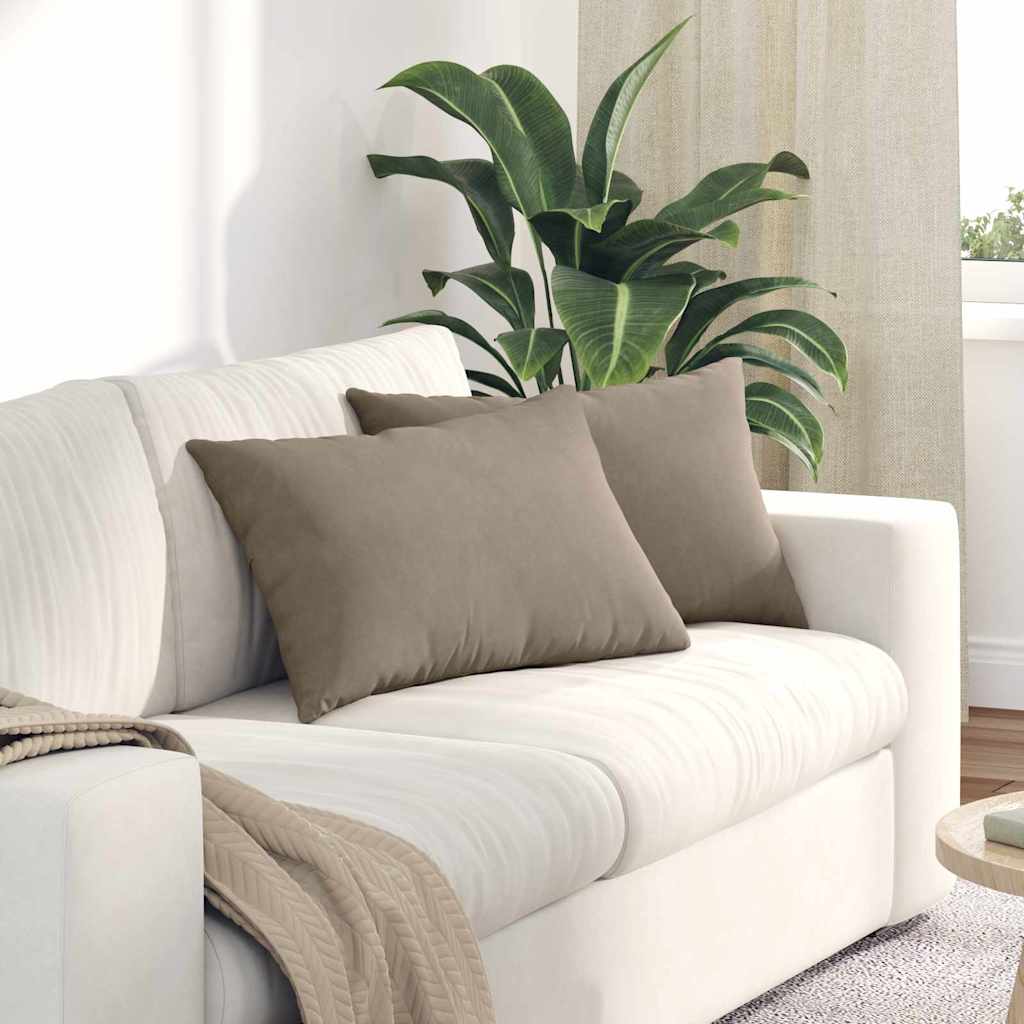 vidaXL Coussins de canapé 2 pcs Taupe 60 x 40 cm Tissu
