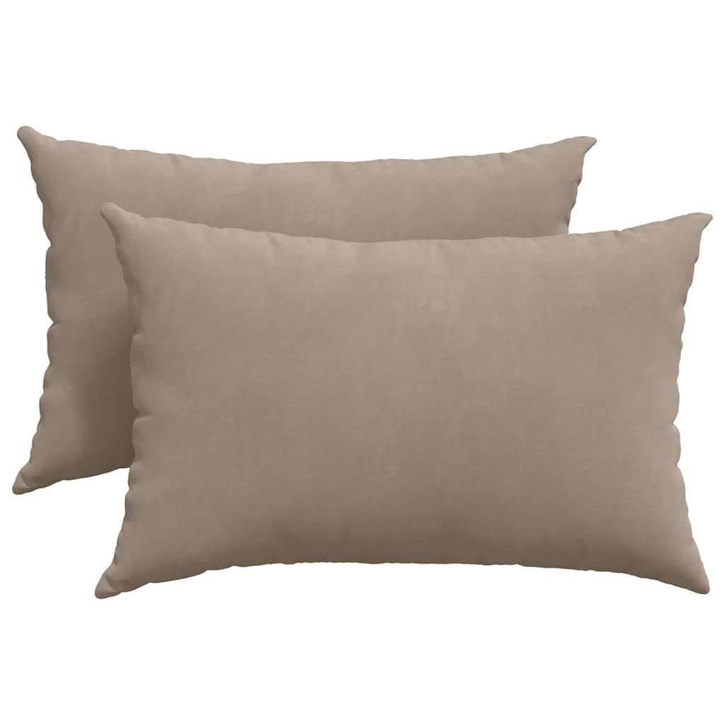 vidaXL Coussins de canapé 2 pcs Taupe 60 x 40 cm Tissu