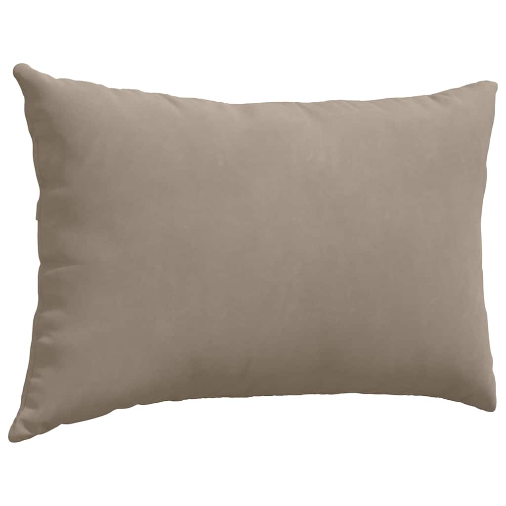 vidaXL Coussins de canapé 2 pcs Taupe 60 x 40 cm Tissu