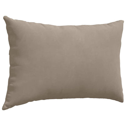 vidaXL Coussins de canapé 2 pcs Taupe 60 x 40 cm Tissu