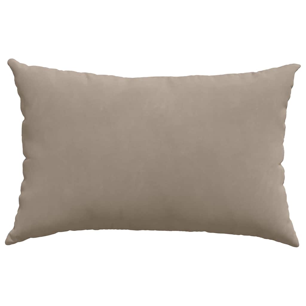 vidaXL Coussins de canapé 2 pcs Taupe 60 x 40 cm Tissu