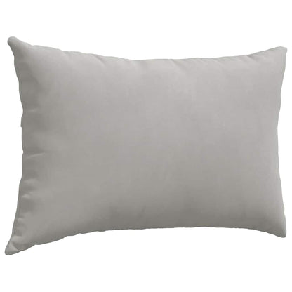 vidaXL Coussins de canapé 2 pcs Gris clair 60 x 40 cm Tissu