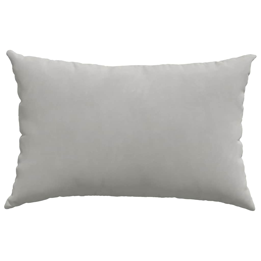 vidaXL Coussins de canapé 2 pcs Gris clair 60 x 40 cm Tissu
