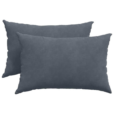 vidaXL Coussins de canapé 2 pcs Gris foncé 60 x 40 cm Tissu en velours côtelé